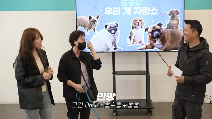 개가 살찐 이유 (12)