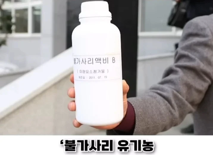 우리나라로 넘어온 바다의 무법자 불가사리의 최후 (29)