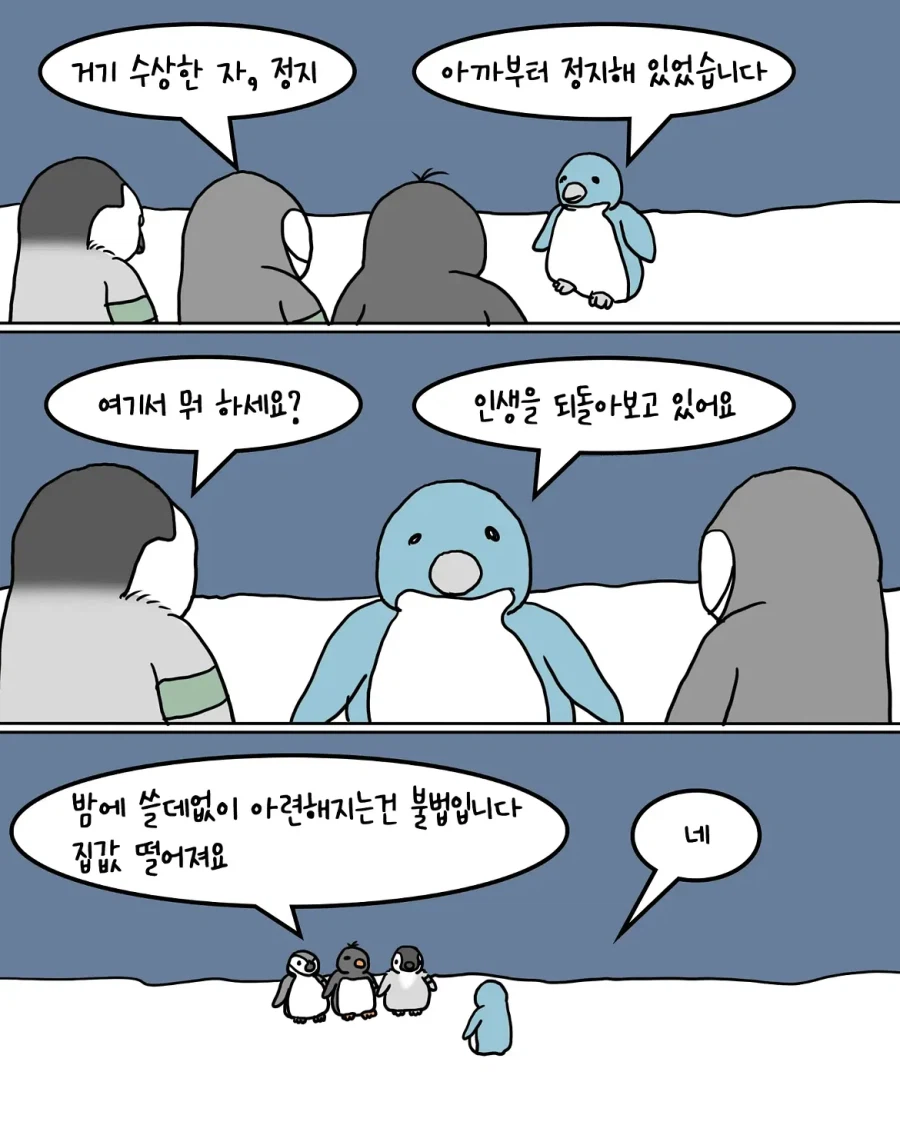 야간 순찰대를 운영하는 남극 펭귄들.manwha (3)
