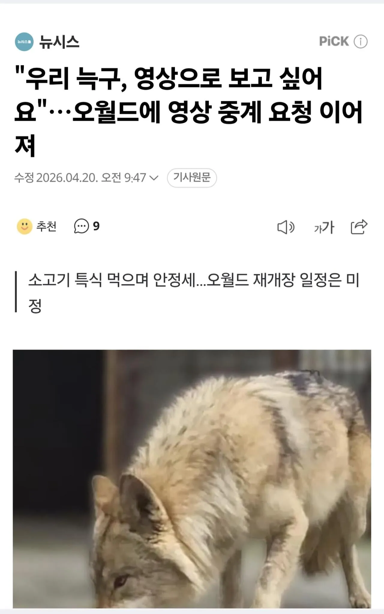 오월드 늑구 근황 ㄷㄷㄷㄷ
