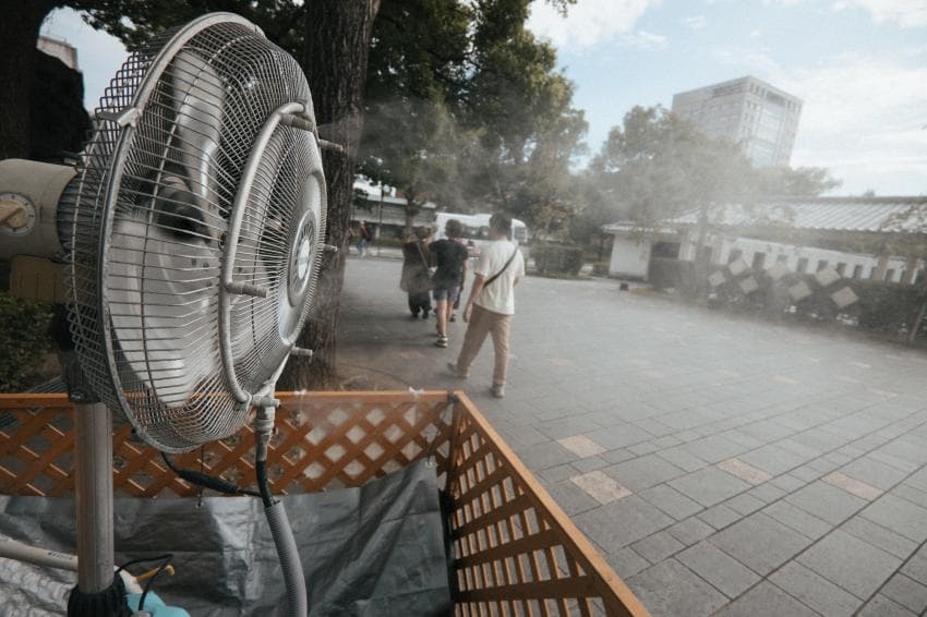 v1이랑 x100v로 찍은 사진인데 평가 좀 부탁드립니다 (11)