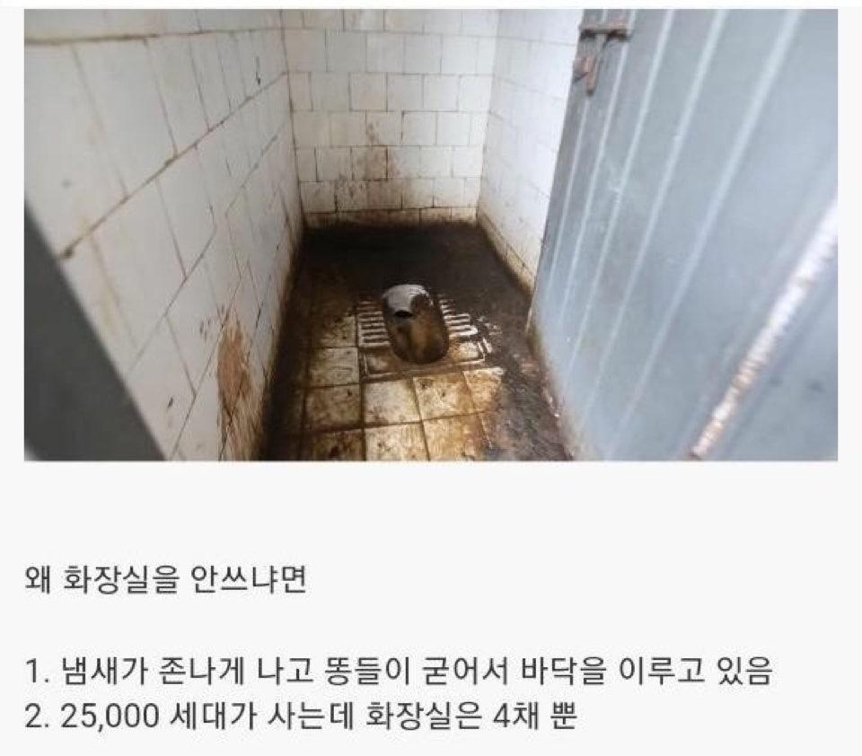 인도의 거대 화장실 (13)
