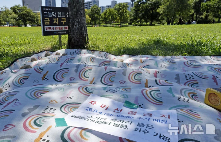 여의도 불꽃축제 돗자리 알박기 근황 (3)