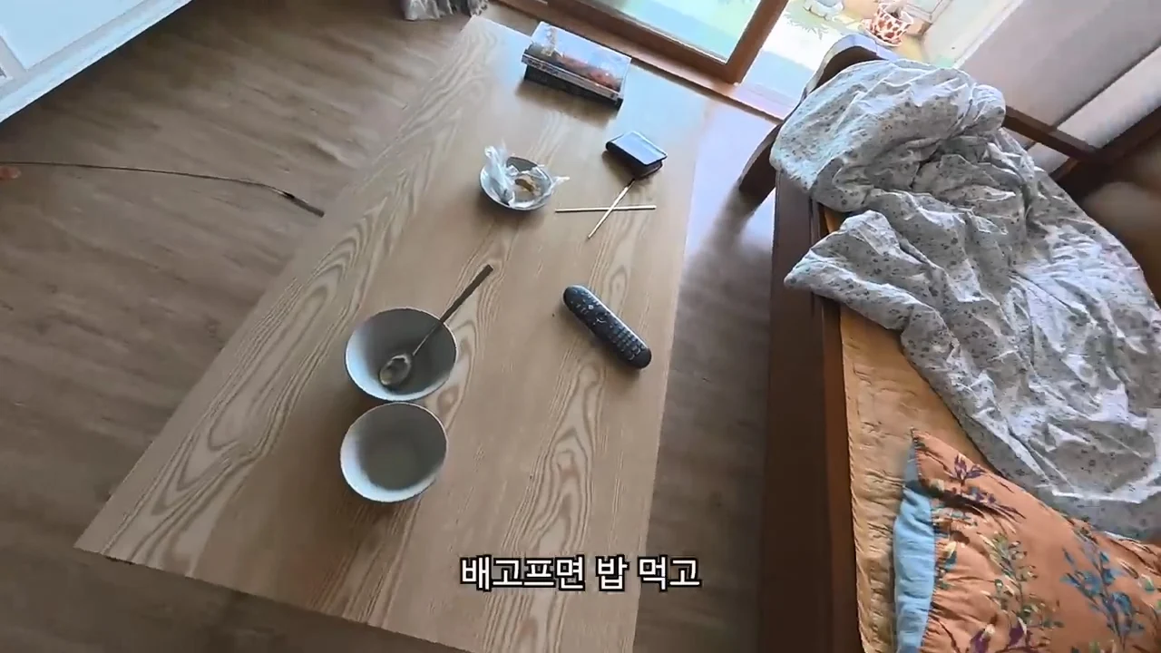 해외여행으로 가진돈 다 써버린 여행 유튜버 근황 (15)