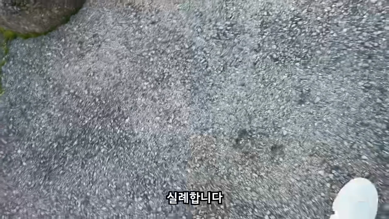 료칸에서 지갑을 주운 유튜버 (29)
