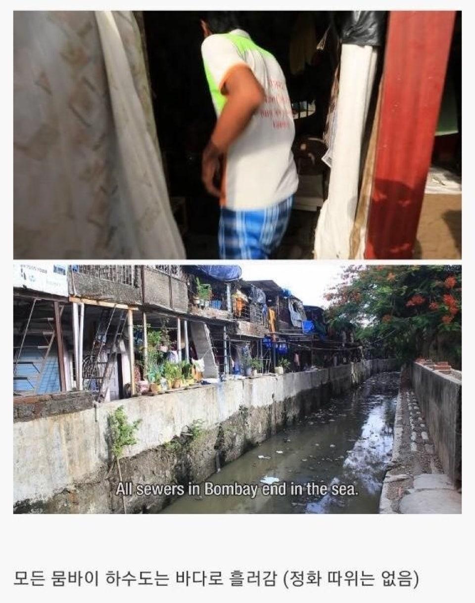인도의 거대 화장실 (10)