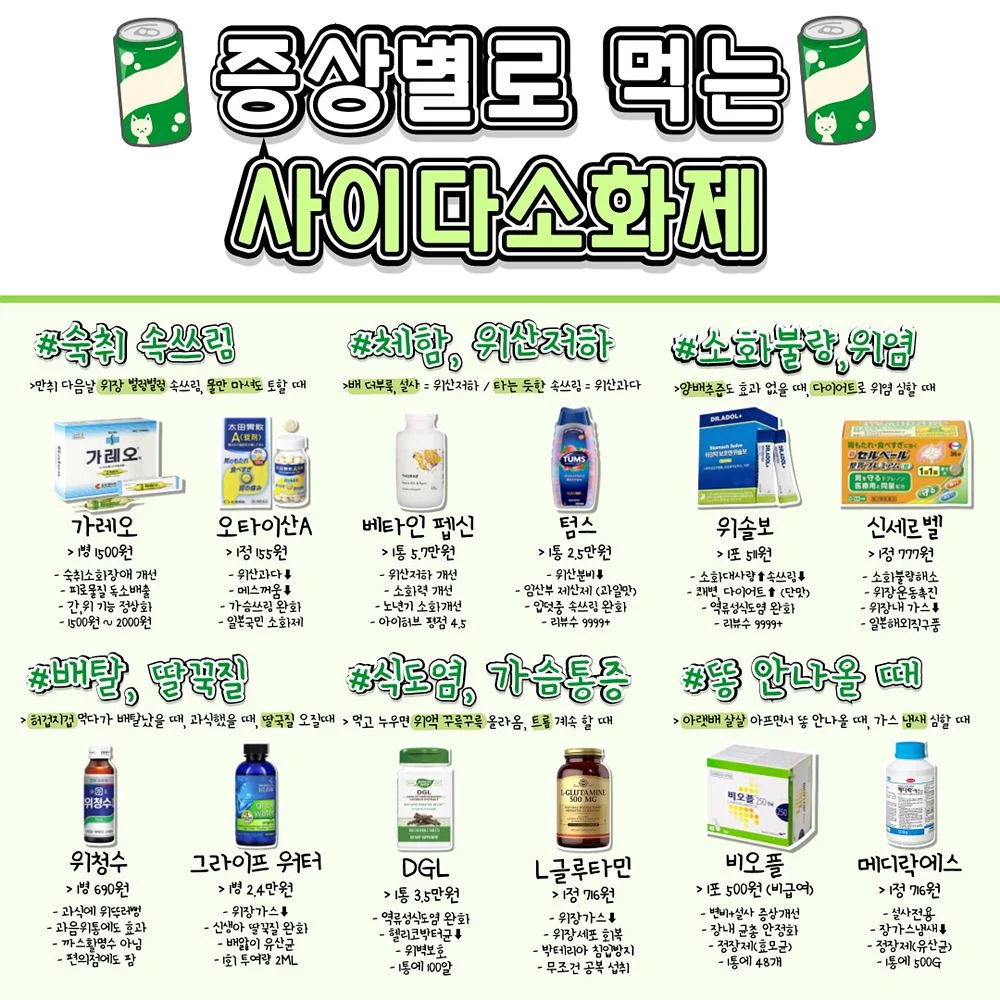 증상별로 먹는 사이다소화제
