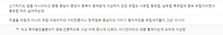 ㅅㄱㅂㄱ 동아시아vs동남아시아 (26)