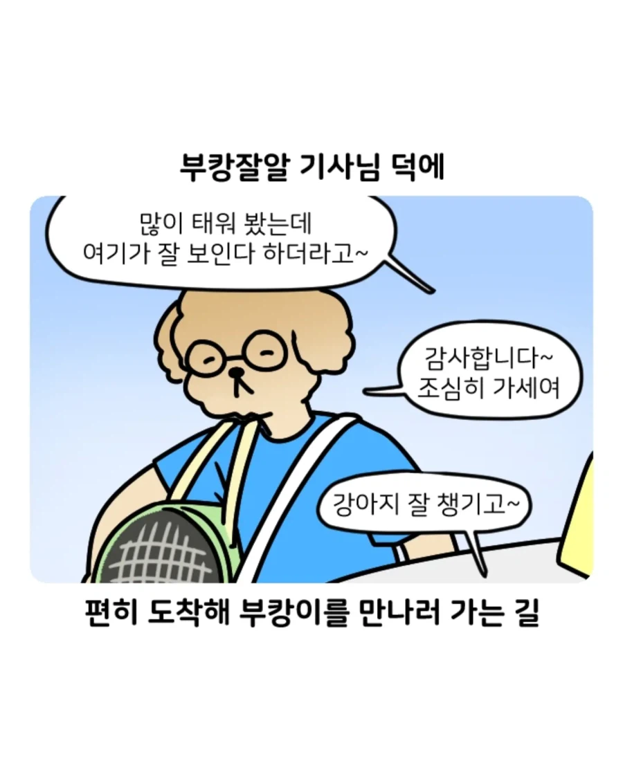 부캉이 보러갔다가 부산택시 경험한 만화 (6)