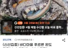 완도 활전복 1kg 4-5미
