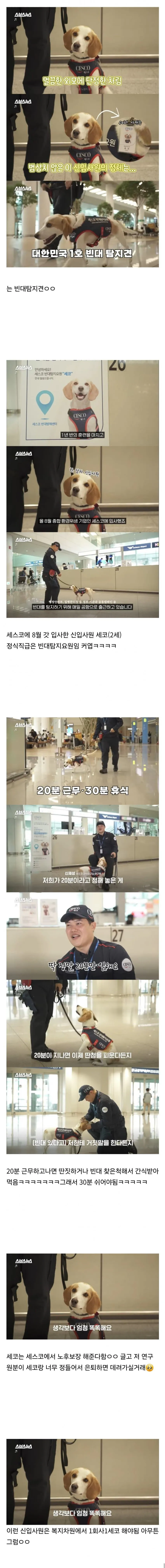 20분 일하면 30분 쉬려고 한다는 신입사원