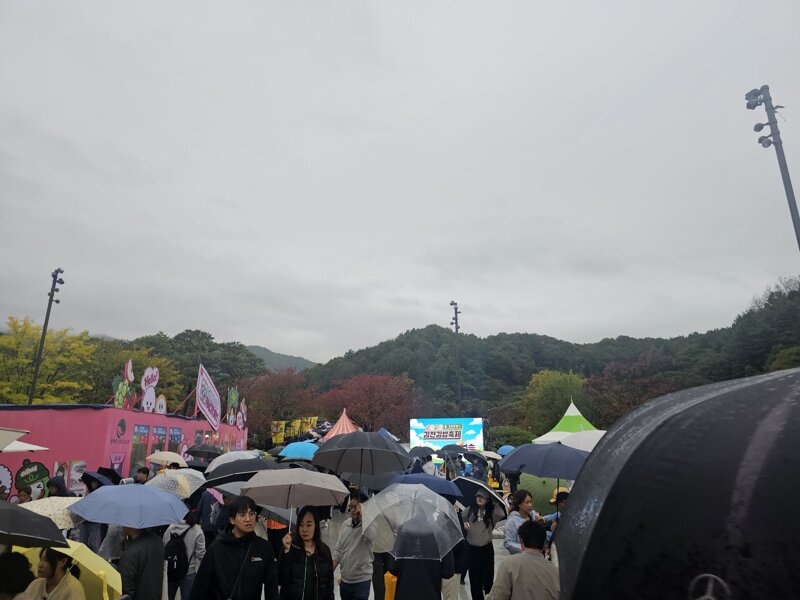 김밥축제 실시간 (2)