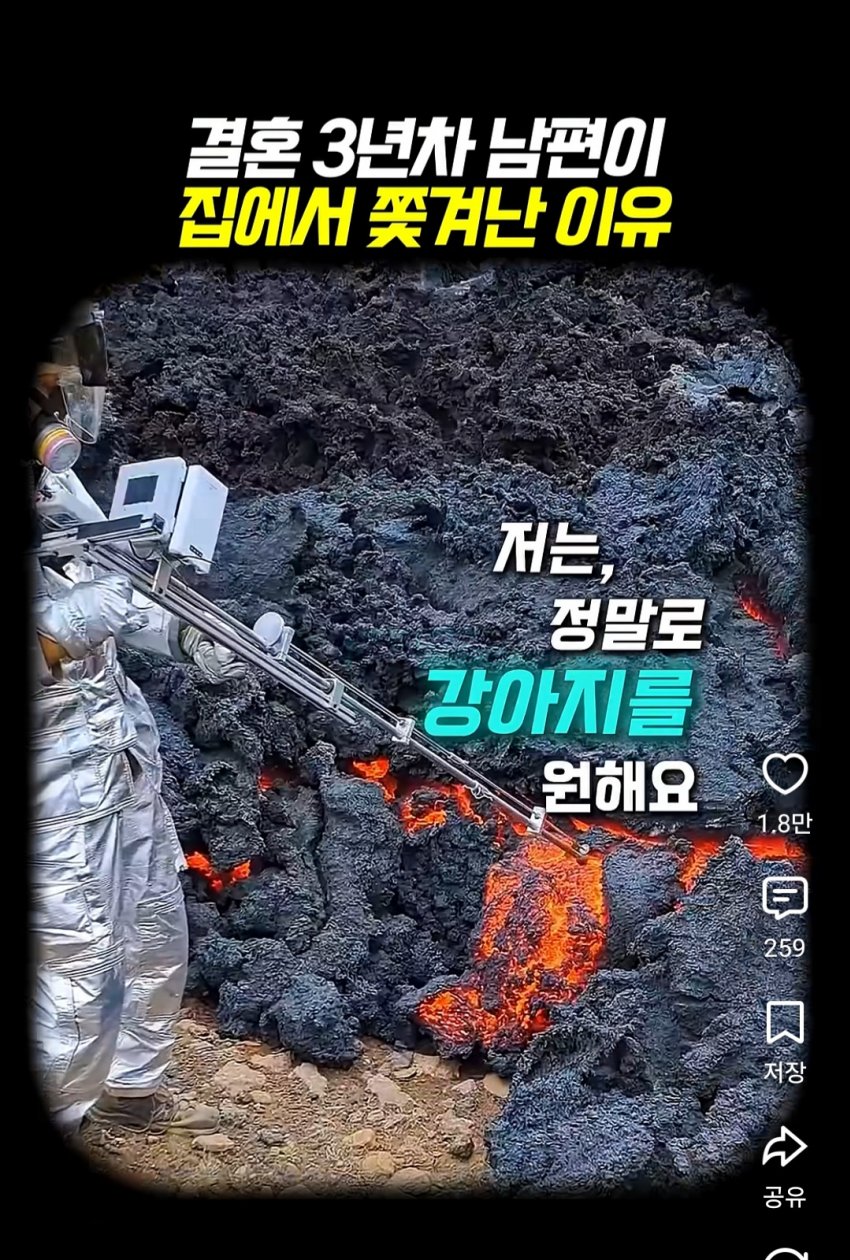 훌쩍훌쩍 부부의 반려동물 고르기촌 (10)