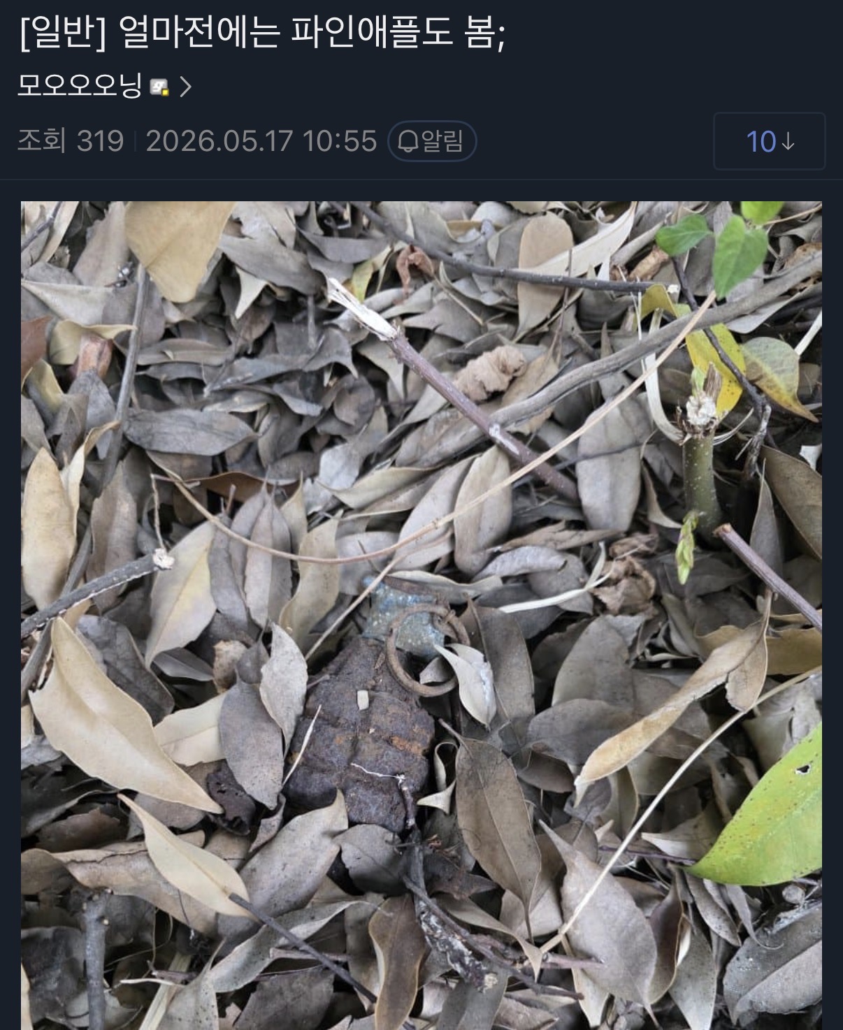 hzIyJE
