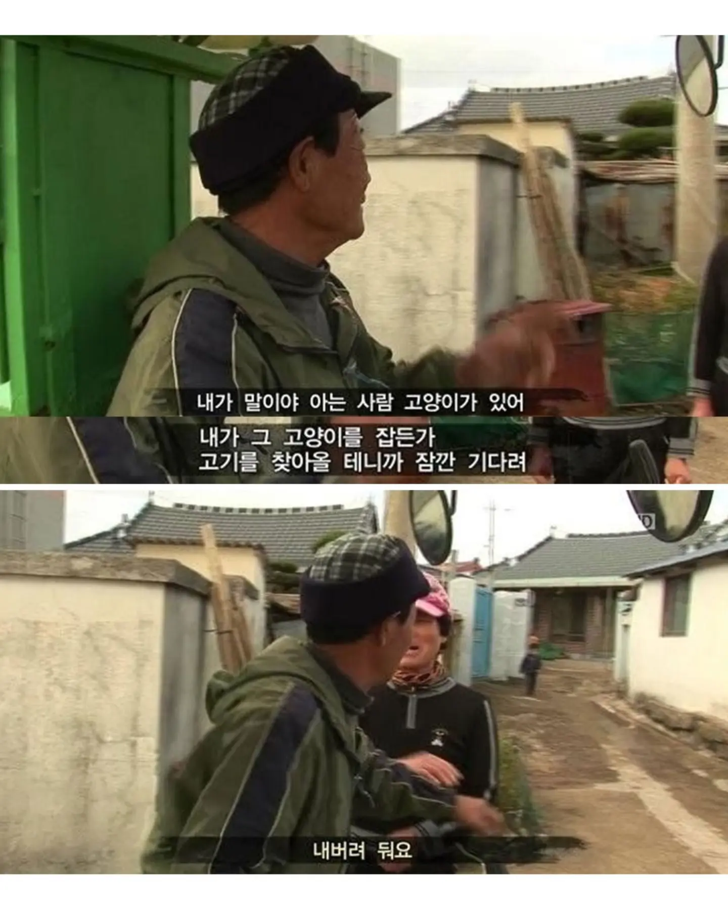 고양이가 생선 안 훔치게 지켜보라 부탁받은 할머니 (13)