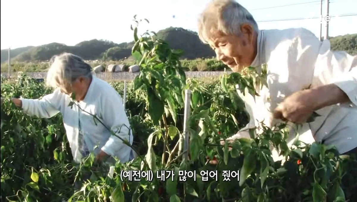 역시 사랑받는 여자는 티가난다 할머니 표정이 처음부터 끝까지 밝으시네 (12)