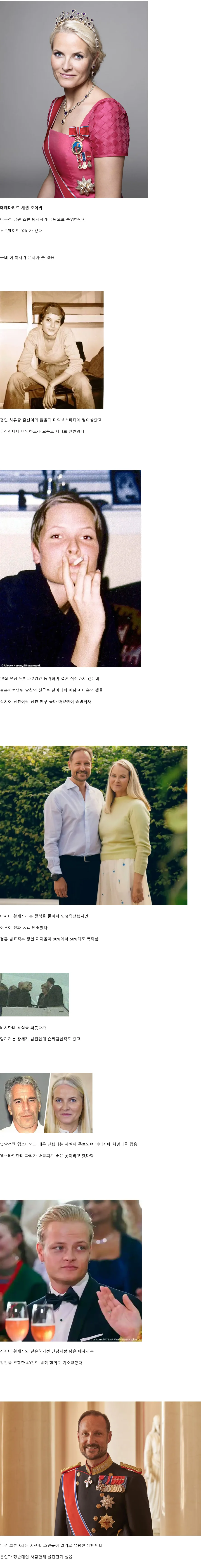 현재 역대급 퐁퐁당했다는 노르웨이 국왕