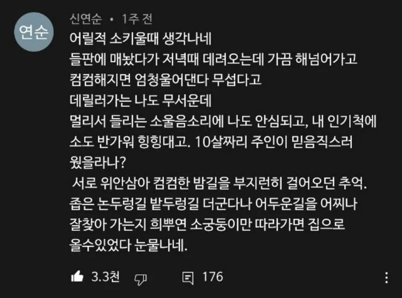 소는 생각보다 지능이 높다 (2)