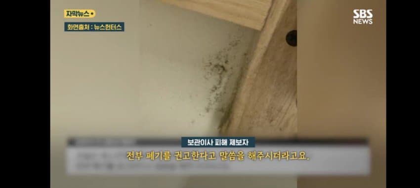 보관이사 맡겼다가 곰팡이, 벌레로 가구 다 망가진 제보자 (13)