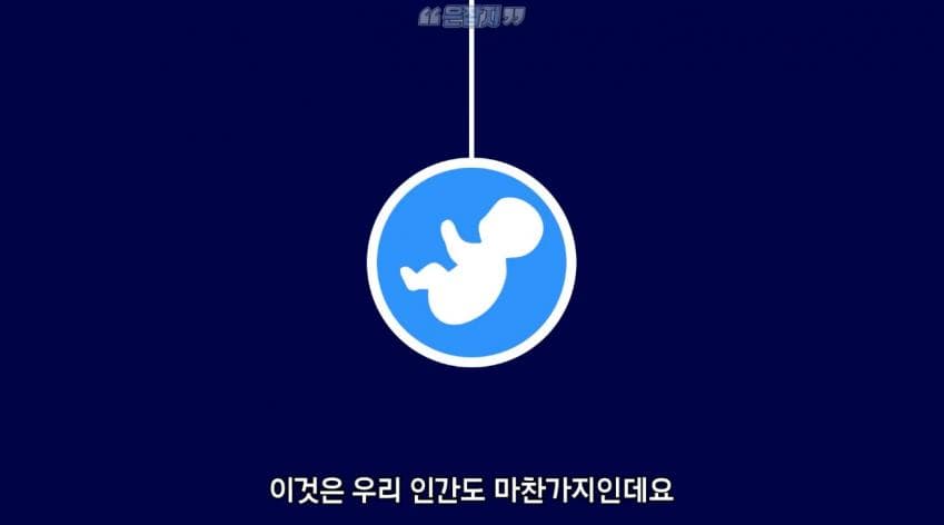 남자들은 잘 모르는 냉 이라는 것에 대하여 (24)