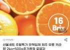 당도보장 제주 대정농협 무릉 카라향 2.5kg 로얄과