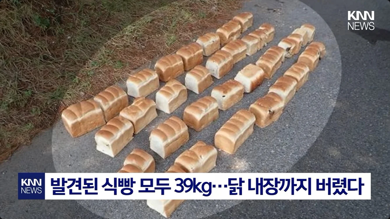 일본에서 난리난 기습 곰맘 시위 (4)