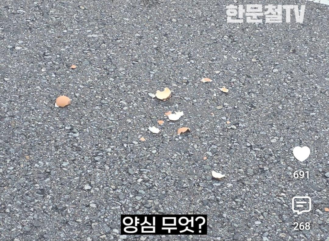 어이가 없어서 계속 보게 됐다는 제보자 (7)