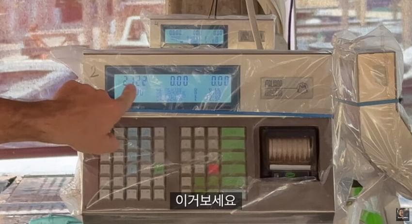싱글벙글 이탈리아에서 청게(블루크랩) 가격 (39)