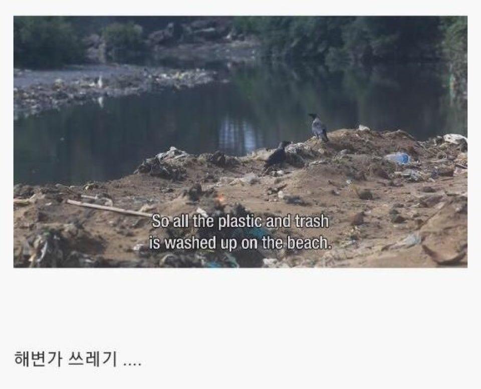 인도의 거대 화장실 (11)