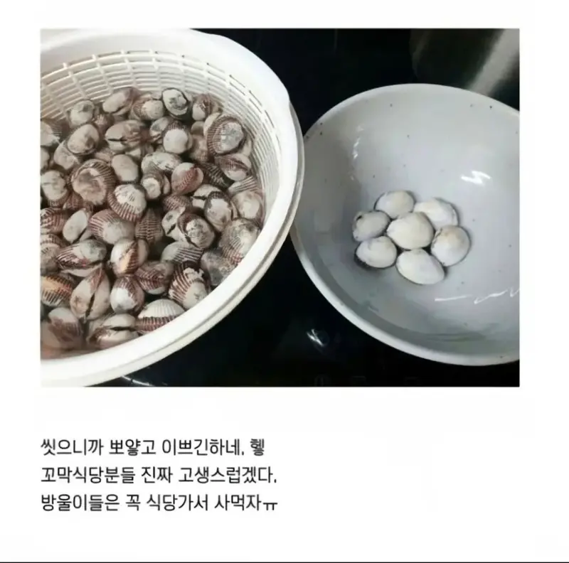 의도치 않은 해산물 손질의 달인 (2)