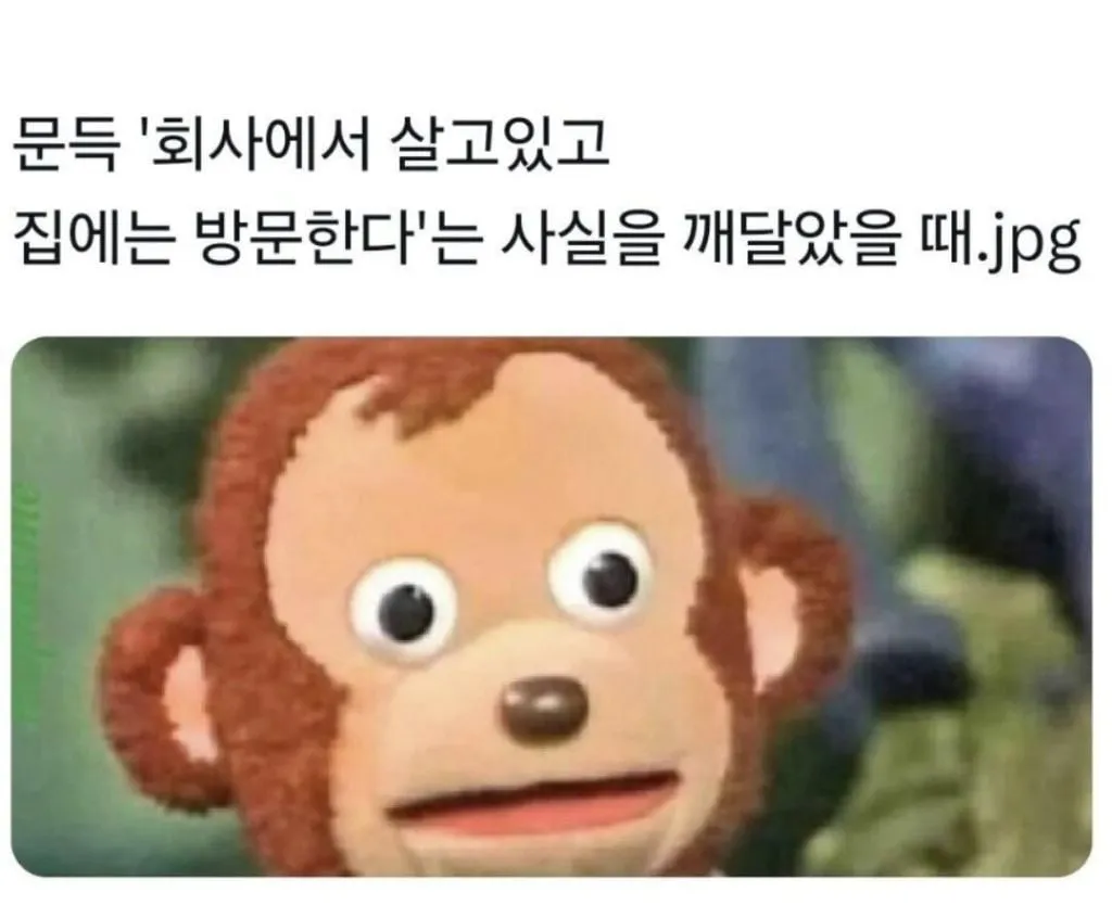 회사에서 살고 집에는 방문한다.jpg