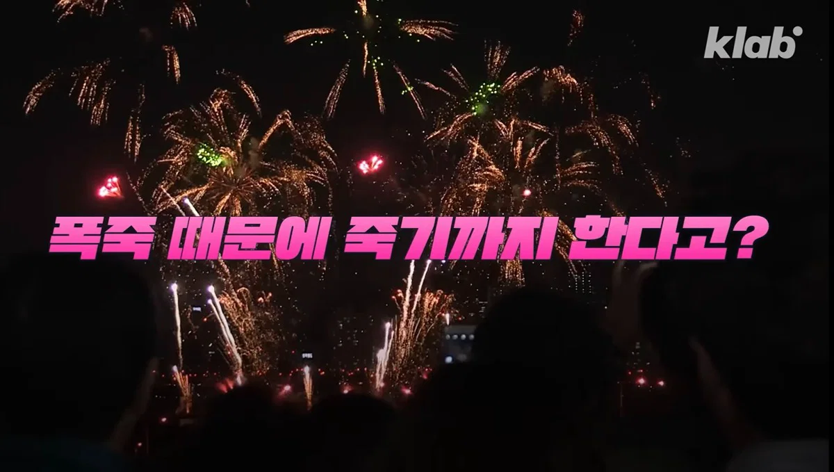 새들에겐 거의 전쟁난 수준이라는 불꽃축제 (5)