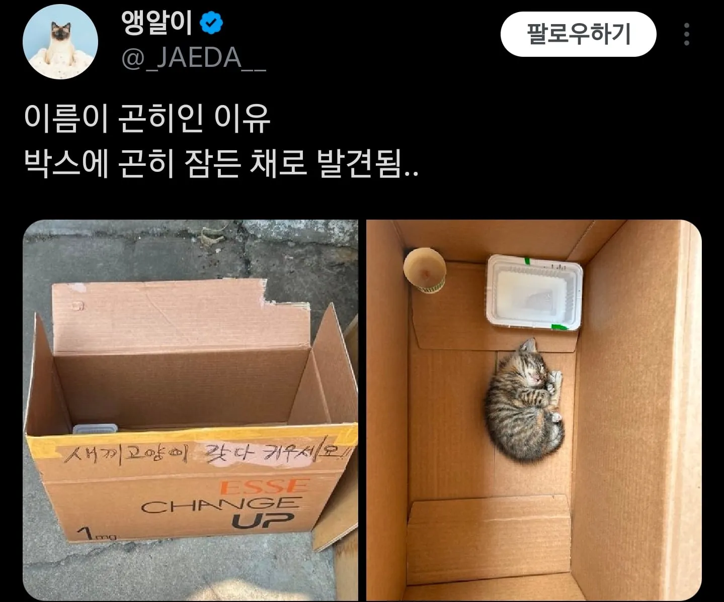 싱글벙글 이름이 곤히인 이유.cat