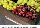 세이블포도 1kg