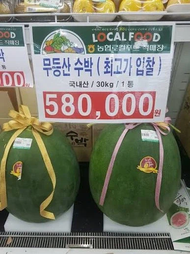 한국인은 수박도 비싸서 못먹는다!!_1.webp