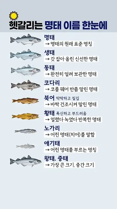 '씨가 말랐다'는 말이 적합한 생물 (2)