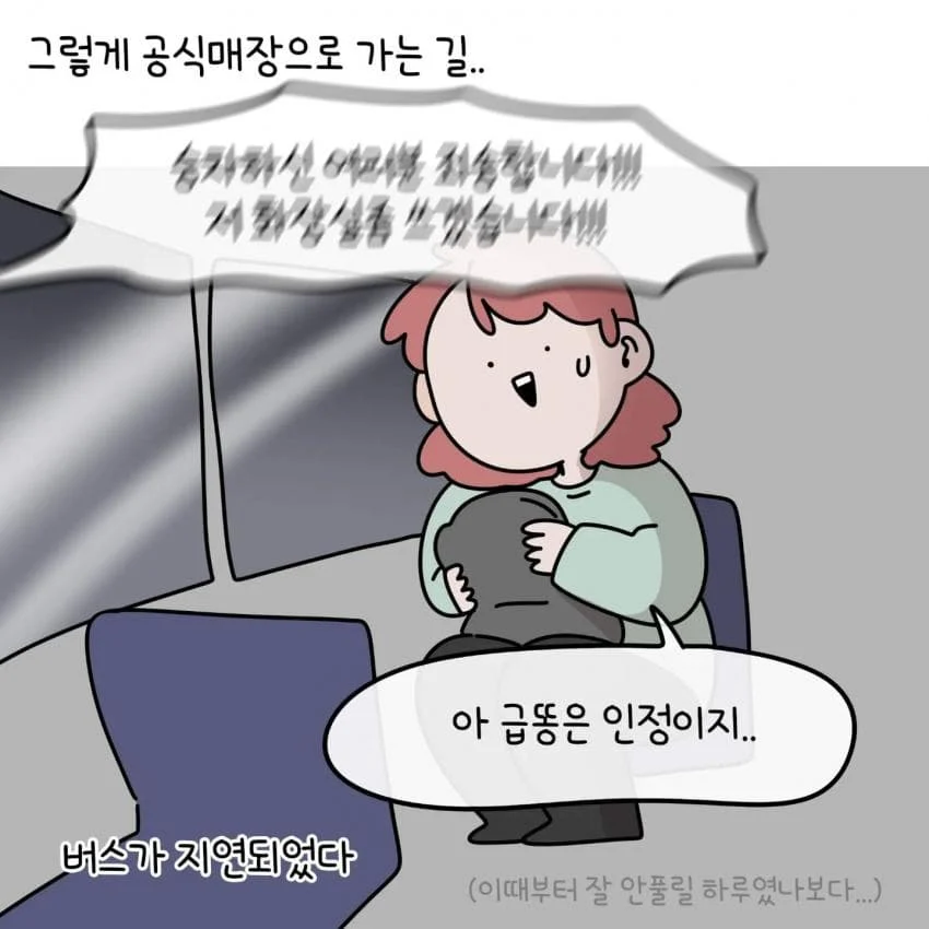 제주도민이 아이폰 안쓰는이유