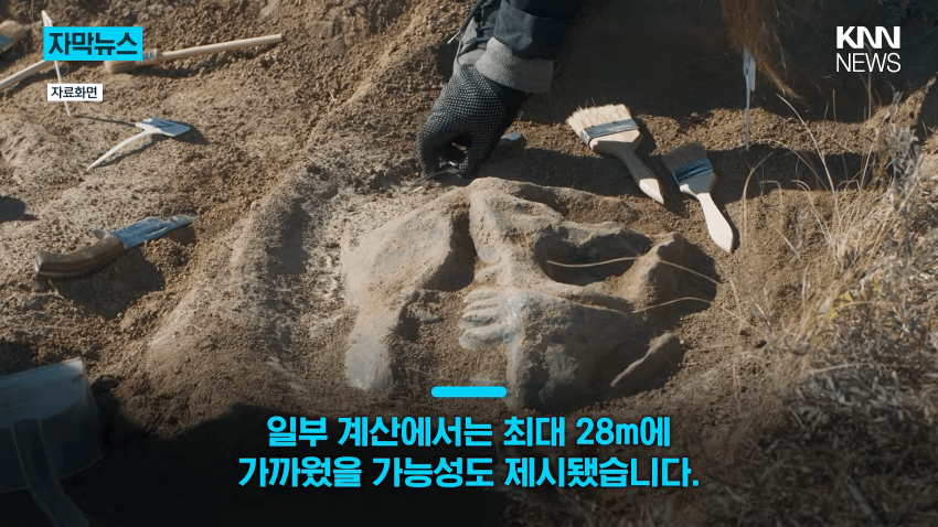 공사장에서 1억 년 전 초대형 공룡 발견 (12)
