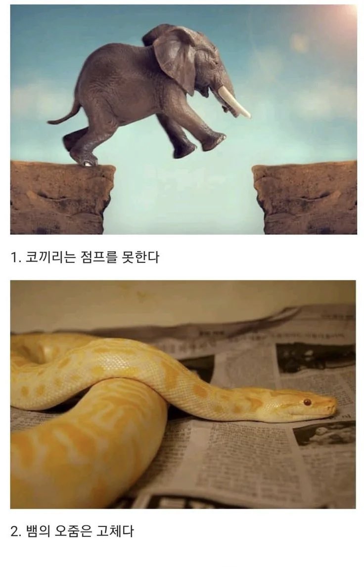 의외인 동물 상식 10가지