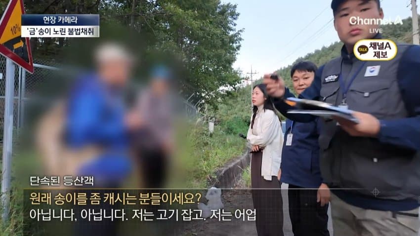 채널a) 송이버섯 1kg에 160만원...밤낮 추격전 (30)