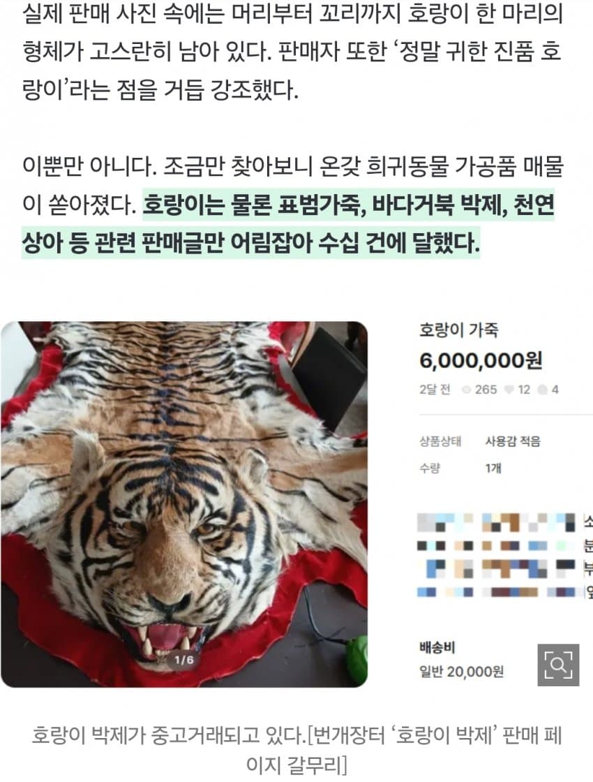 “여기가 한국 맞아?” 진짜 호랑이 ‘700만원’에 대놓고 거래 (4)