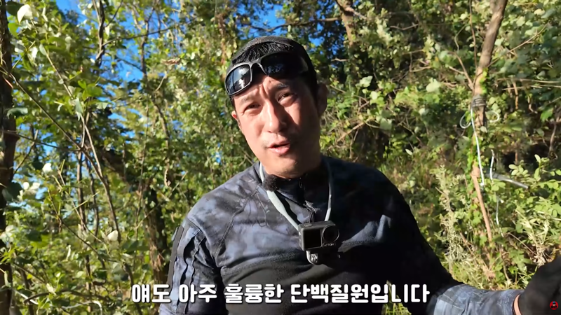 혐주의) 산왕거미를 생으로 먹어버린다는 국내 유튜버 (4)