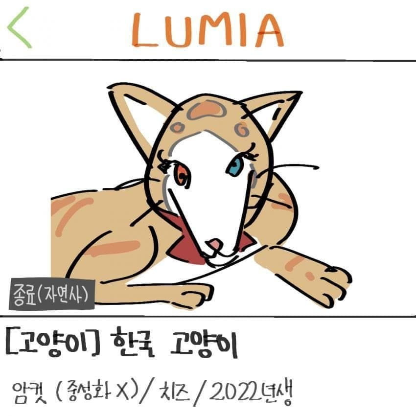 싱글벙글 귀없는 고양이 캐릭터의 유래 (4)
