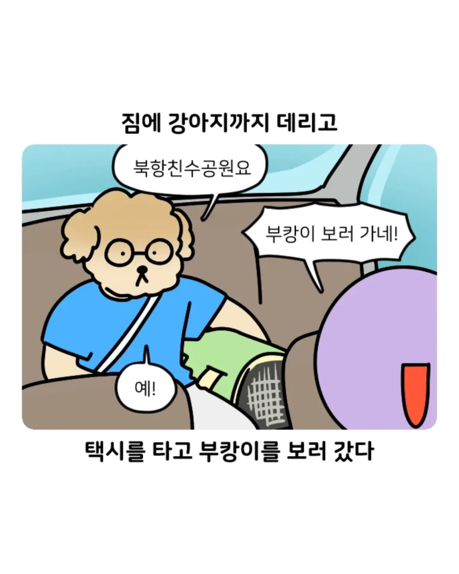 부캉이 보러갔다가 부산택시 경험한 만화 (5)
