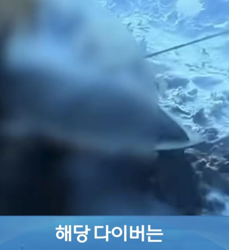 출국직전 체포된 중국인 (6)