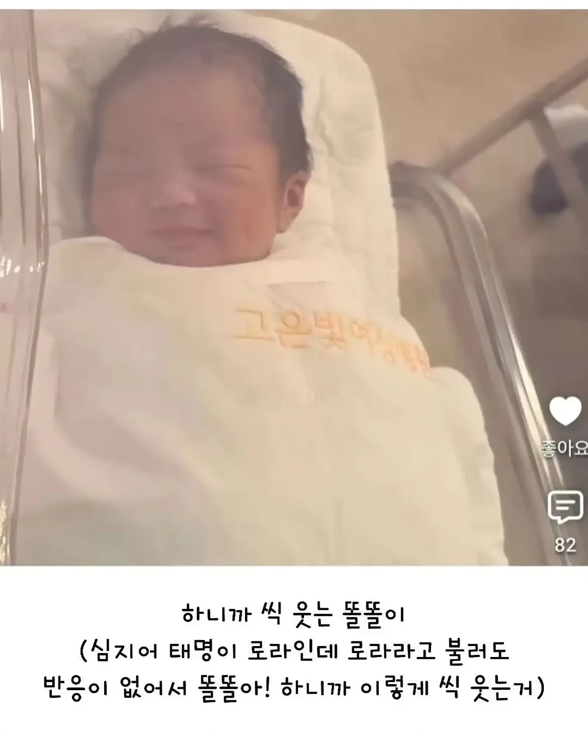 세상 떠난 반려견이 딸로 돌아온거 같다는 유튜버 (18)