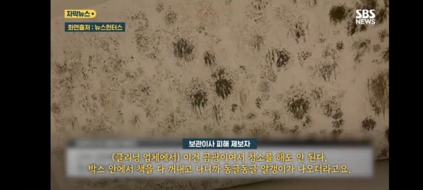 보관이사 맡겼다가 곰팡이, 벌레로 가구 다 망가진 제보자 (6)