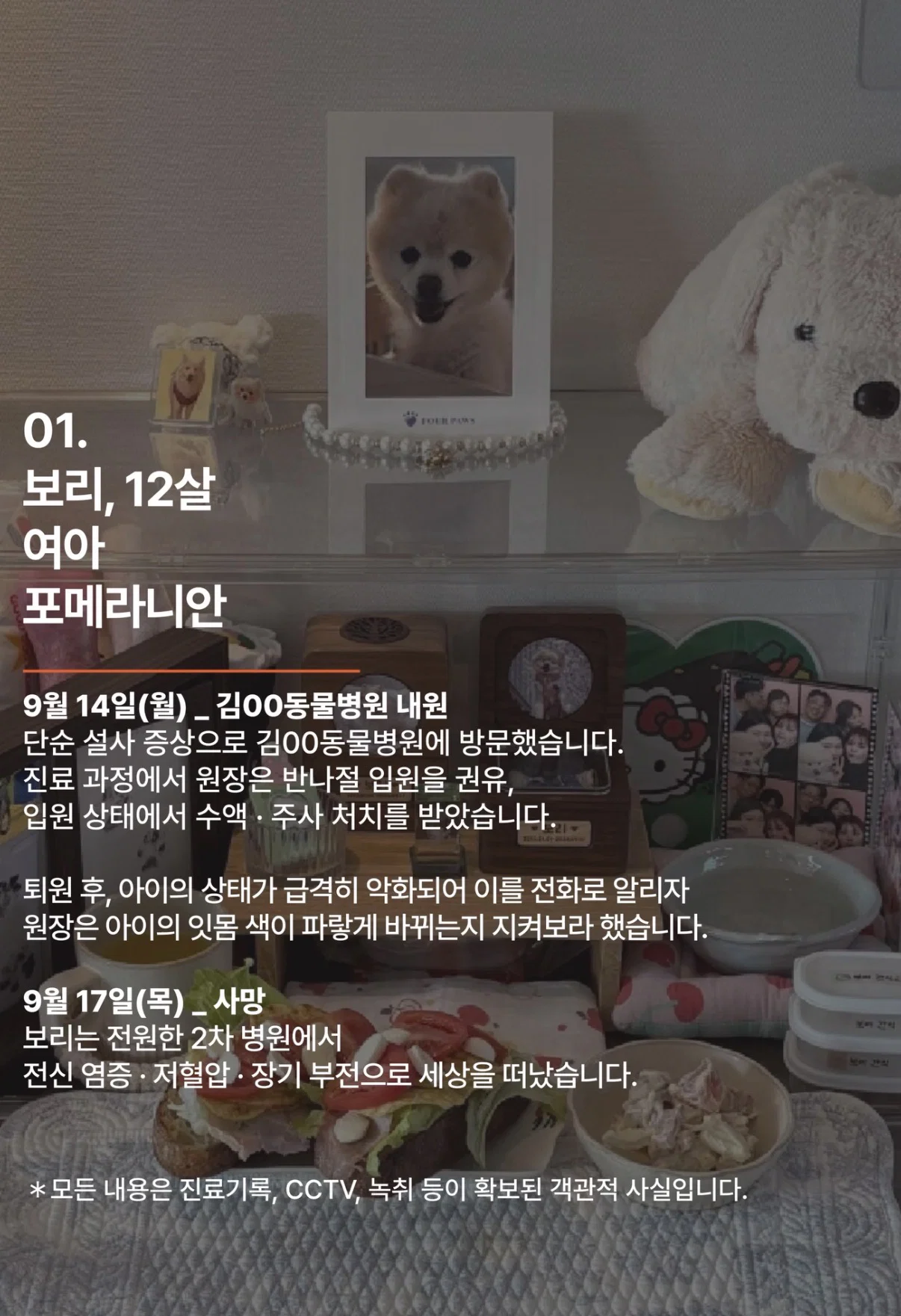 폭로 올라온 서울의 한 동물병원 (내원한 아이들 다 장기 부전으로 사망;) (6)