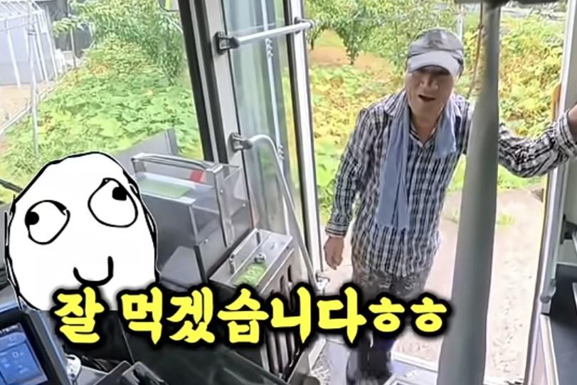 시골 카르텔 (11)