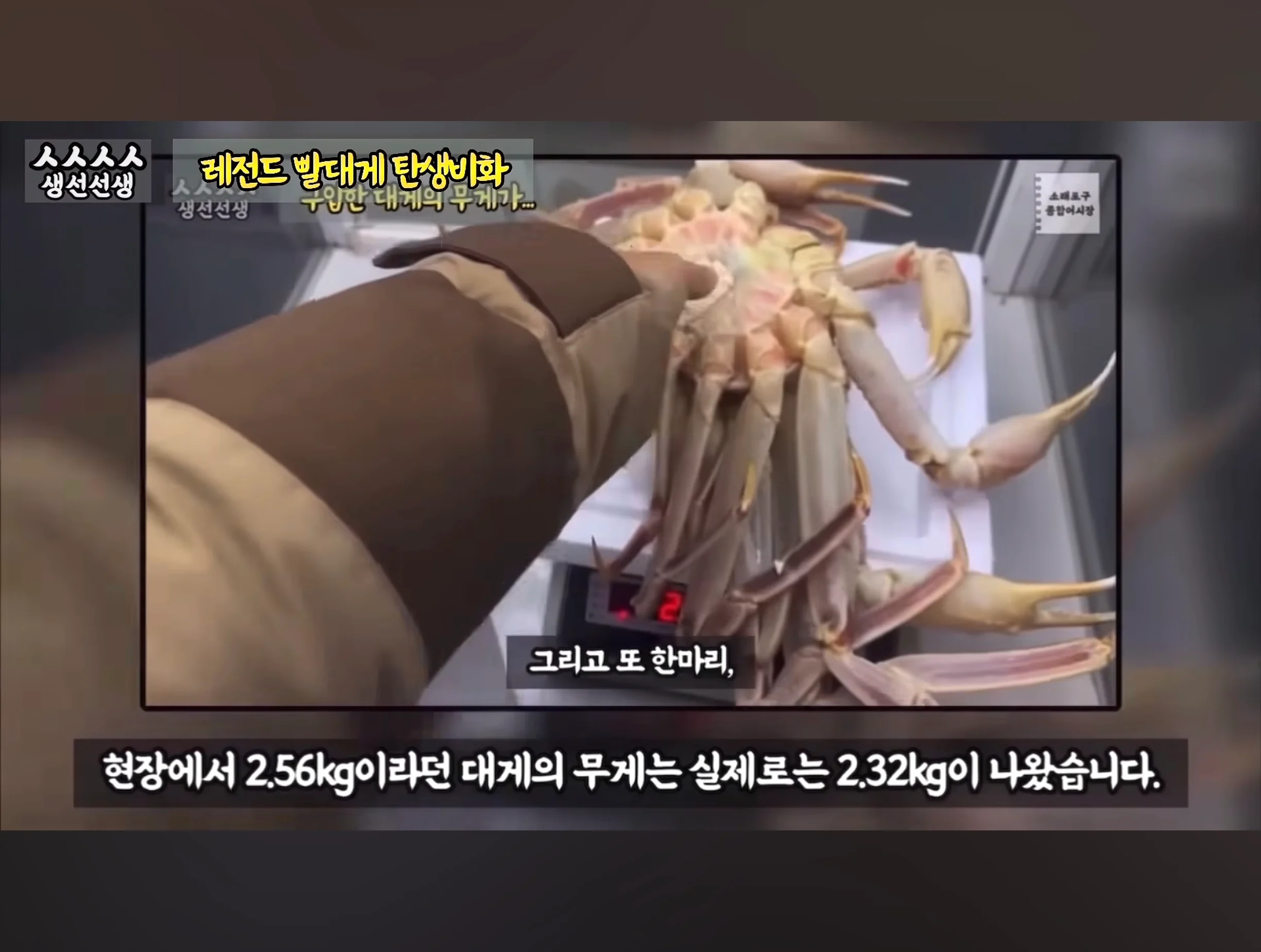 스압주의) 대게 구입 잘못했다가 미쳐버린 유튜버 (6)